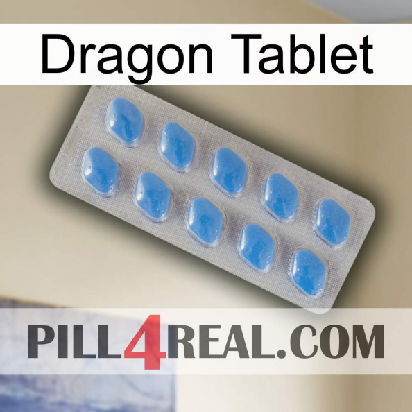 Dragon Tablet 22.jpg